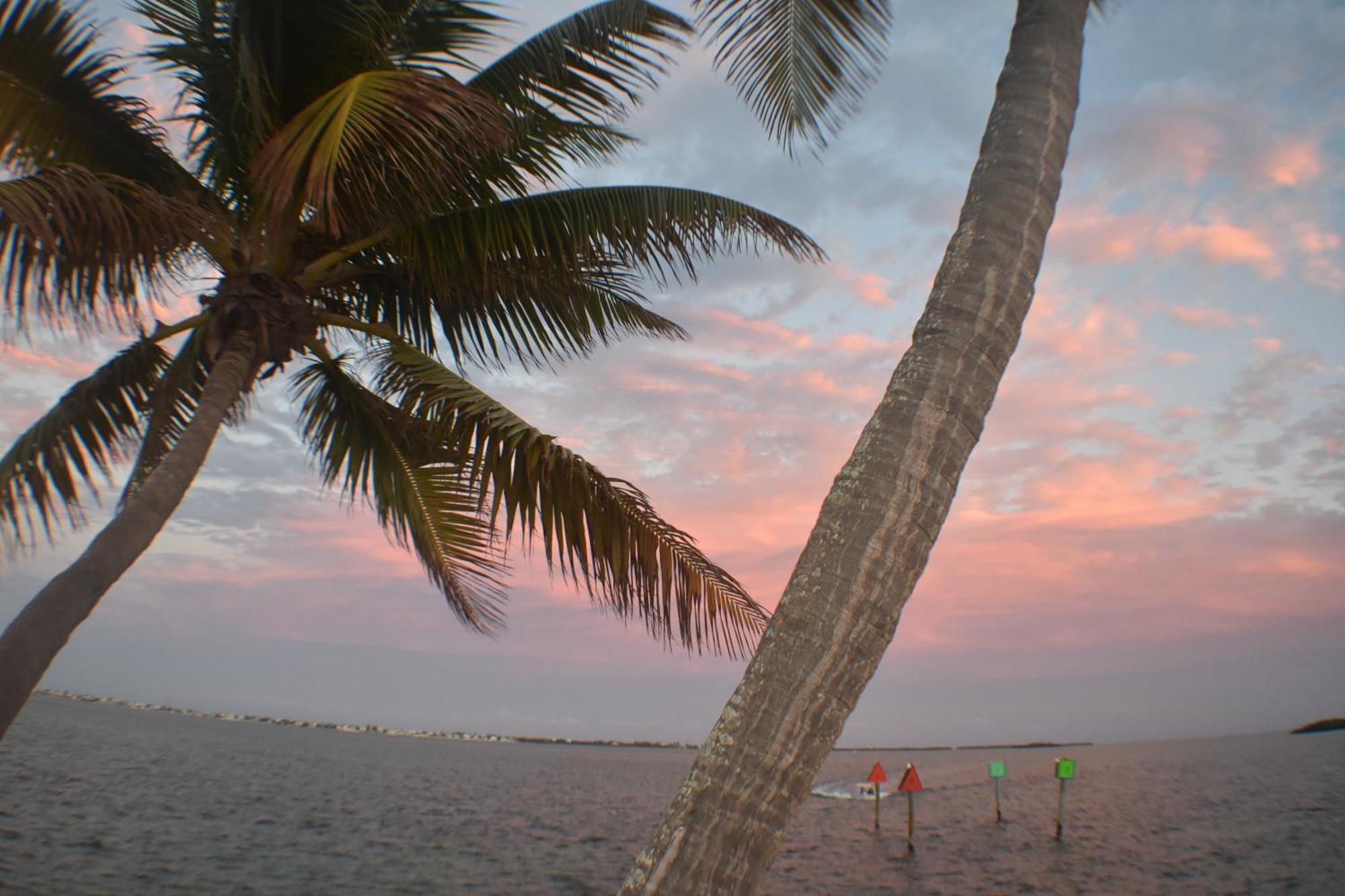 Pelican'S Roost, Waterfront Comfort At Venture Out Cudjoe Key Exterior foto